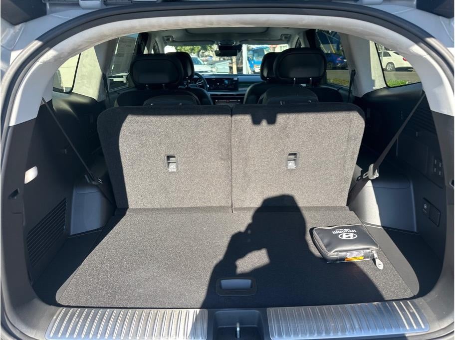 2026 Hyundai IONIQ 9 Performance Calligraphy