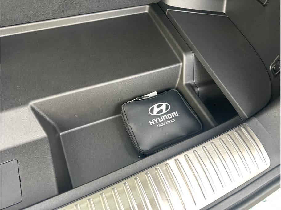 2026 Hyundai IONIQ 9 Performance Calligraphy